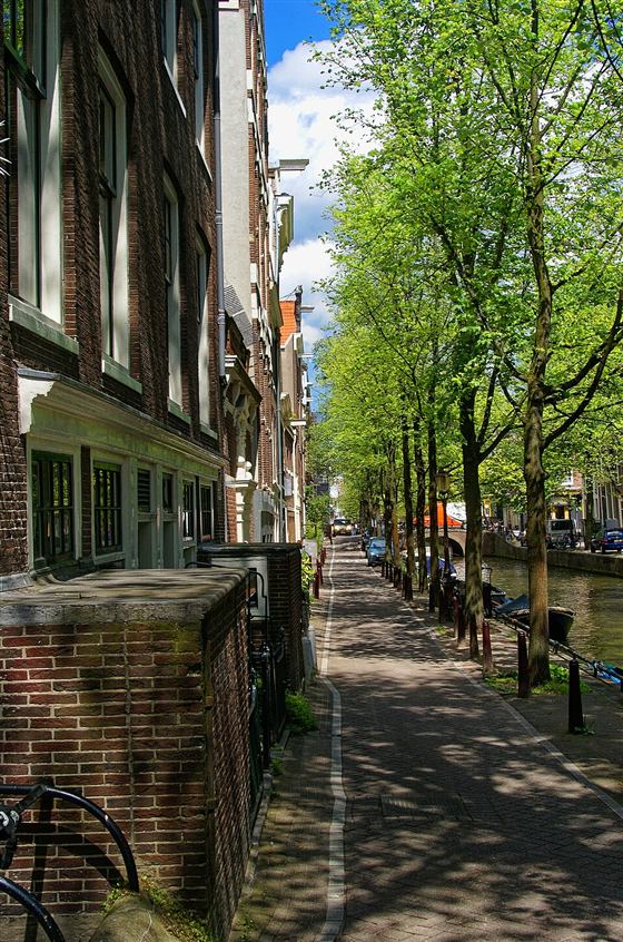 アムステルダム旧市街の運河沿いの小道。れんが造りの建物と並木が続く昼間の風景
